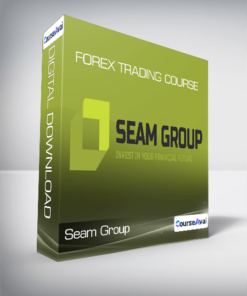 Seam Group - Forex Trading Course