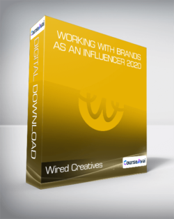 Wired Creatives - Working With Brands as an Influencer 2020