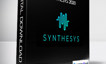 Synthesys 2020 + OTOs