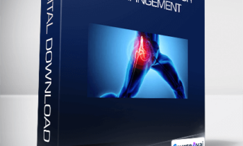 Adam Wolf - REAL Strategies for Hip Impingement