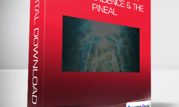 Joe Dispenza - Rewired Episode 11: Transcendence & the Pineal