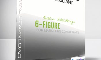 Caitlin Schlichting - 6 Figure Marketing Consultant