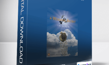 Peter Schultz - The Winning Secret