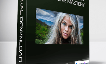 Photoshop CC 2019 One-on-One Mastery