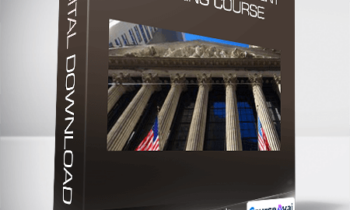 Ultimate Investment Banking Course