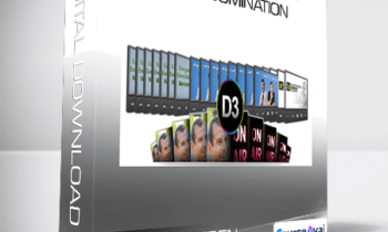 Rich Schefren - D3: Desire