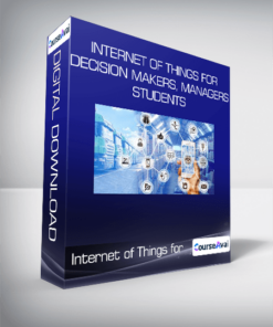 Internet of Things for Decision Makers