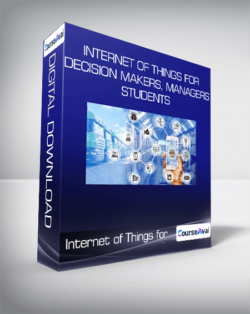 Internet of Things for Decision Makers