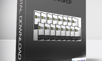 Rich Schefren - Report Writing Workshop