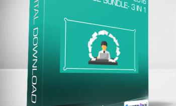 Microsoft Word 2019-2016-2013 Course Bundle- 3 In 1