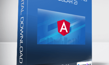 Angular 7 (formerly Angular 2) - The Complete Guide