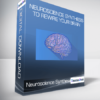 Neuroscience Synthesis To Rewire Your Brain