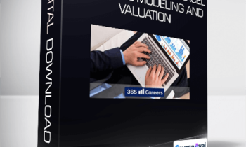 Beginner to Pro in Excel Financial Modeling and Valuation