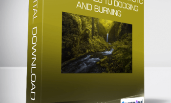 Painting with Light: Artistic Approaches to Dodging and Burning