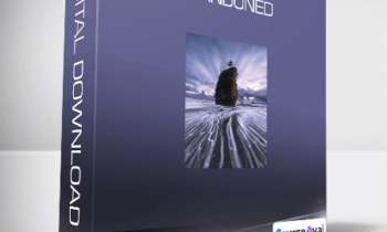 Ted Gore - Abandoned