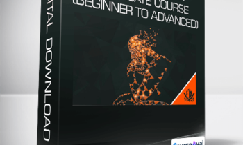 NLP Practitioner Certificate Course (Beginner to Advanced)