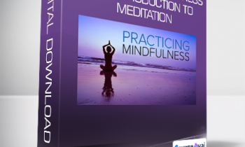 Mark Muesse - Practicing Mindfulness: An Introduction to Meditation