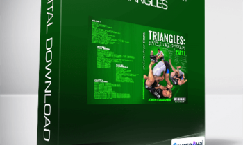 John Danaher - Enter The System - Triangles