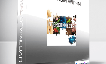 Heal From Within - Interconnected