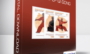 Shaolin Warrior - The Way of Qi Gong