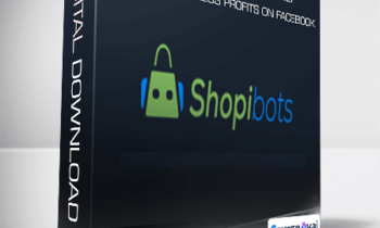 Shopibots - Go From $1000 To $4250 Daily Shopify/AliExpress Profits On Facebook