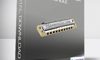 JP Allen - Complete Harmonica Bundle