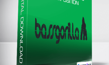 Bassgorilla - Electronic Music Composition