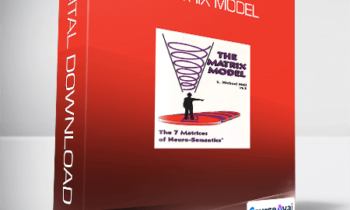 L. Michael Hall - Matrix Model