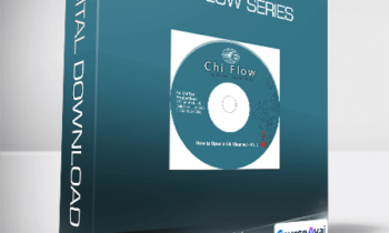 Master Waysun Liao - Chi Flow Series