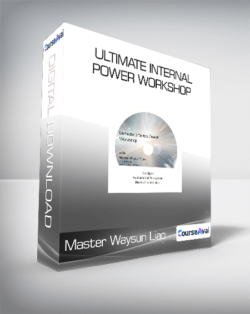 Master Waysun Liao - Ultimate Internal Power Workshop