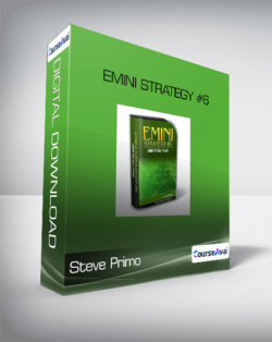 Steve Primo - Emini Strategy #6