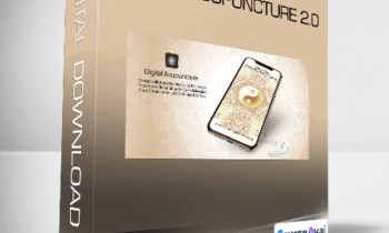 Eric Thompson - Digital Acupuncture 2.0