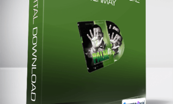 PALM - Paul Voodini and Luke Jermay