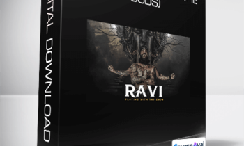 Arash Dibazar - Ravi (playing with the gods)