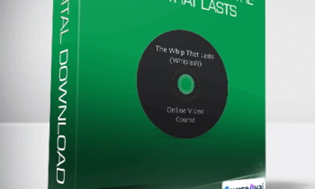 John Iams - PRRT Mini Course - The Whip That Lasts