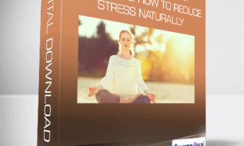 Stress Management Techniques: How to Reduce Stress Naturally
