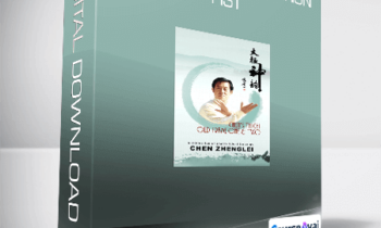 Chen Zheng Lei - Old Frame 2nd Cannon Fist