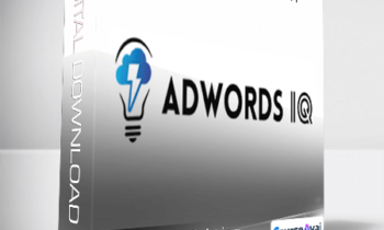 Caitlin Schlichting - AdWords IQ Academy