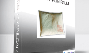 Wing Lam - Shaolin Iron Palm