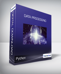Python - Data Processing