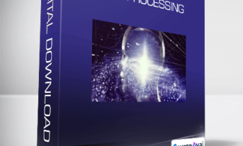 Python - Data Processing