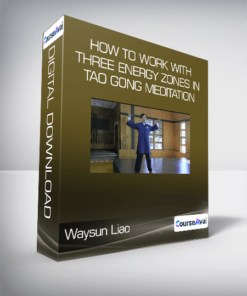 Waysun Liao - How to Work with Three Energy Zones in Tao Gong Meditation