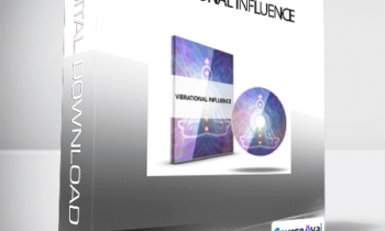 David Synder - Vibrational Influence