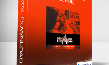 Arash Dibazar -  Dragon Heart