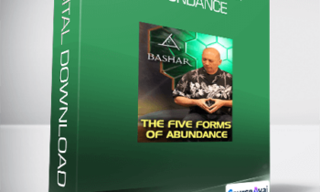 Bashar - The Five Forms of Abundance