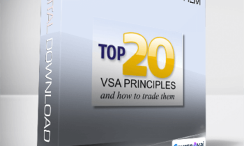 Top 20 VSA Principles - and How to Trade Them