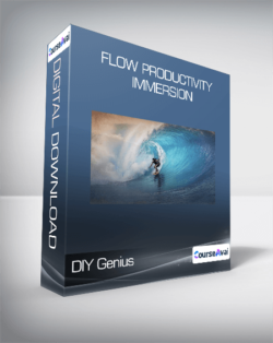 DIY Genius - Flow Productivity Immersion