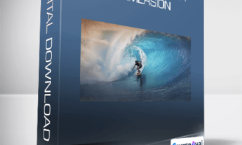 DIY Genius - Flow Productivity Immersion