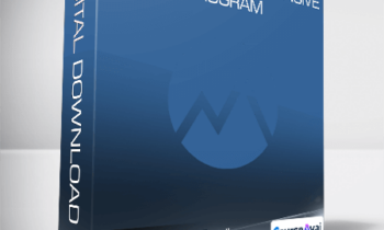 Base Camp Trading - Renko Mastery Intensive Program