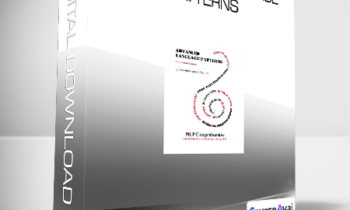 Connirae Andreas - Advanced Language Patterns